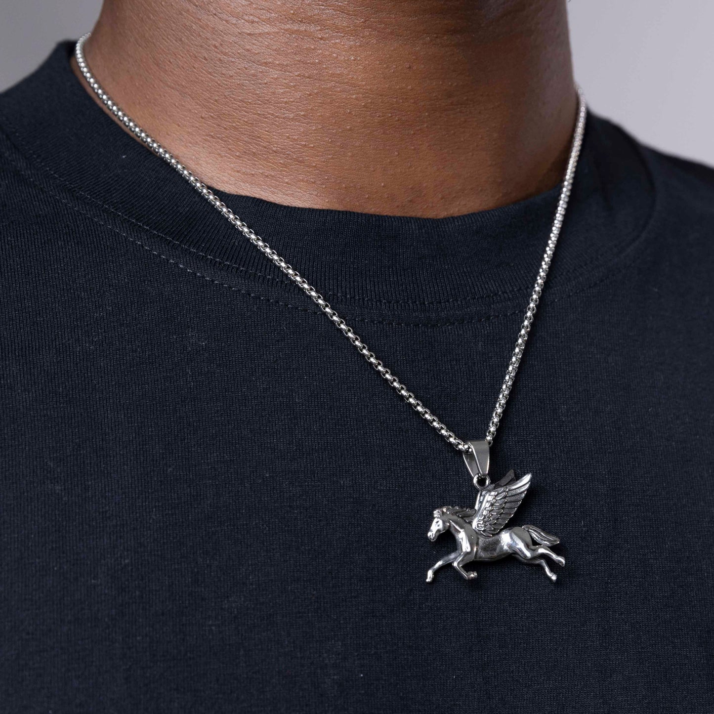 Pegasus pendant & chain.