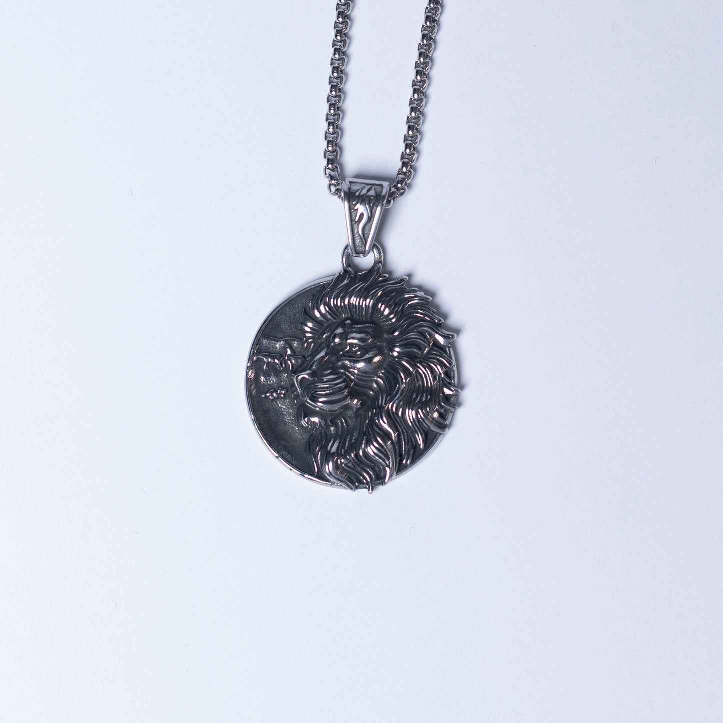 Lion pendant & chain.