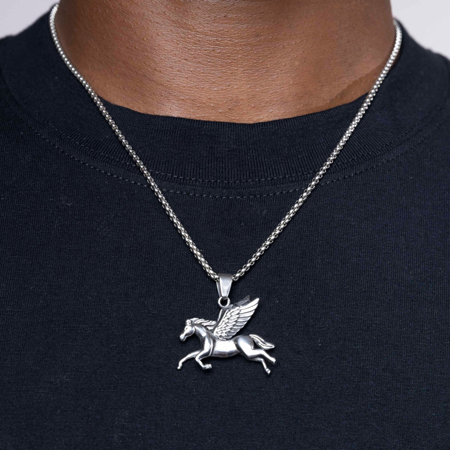 Pegasus pendant & chain.