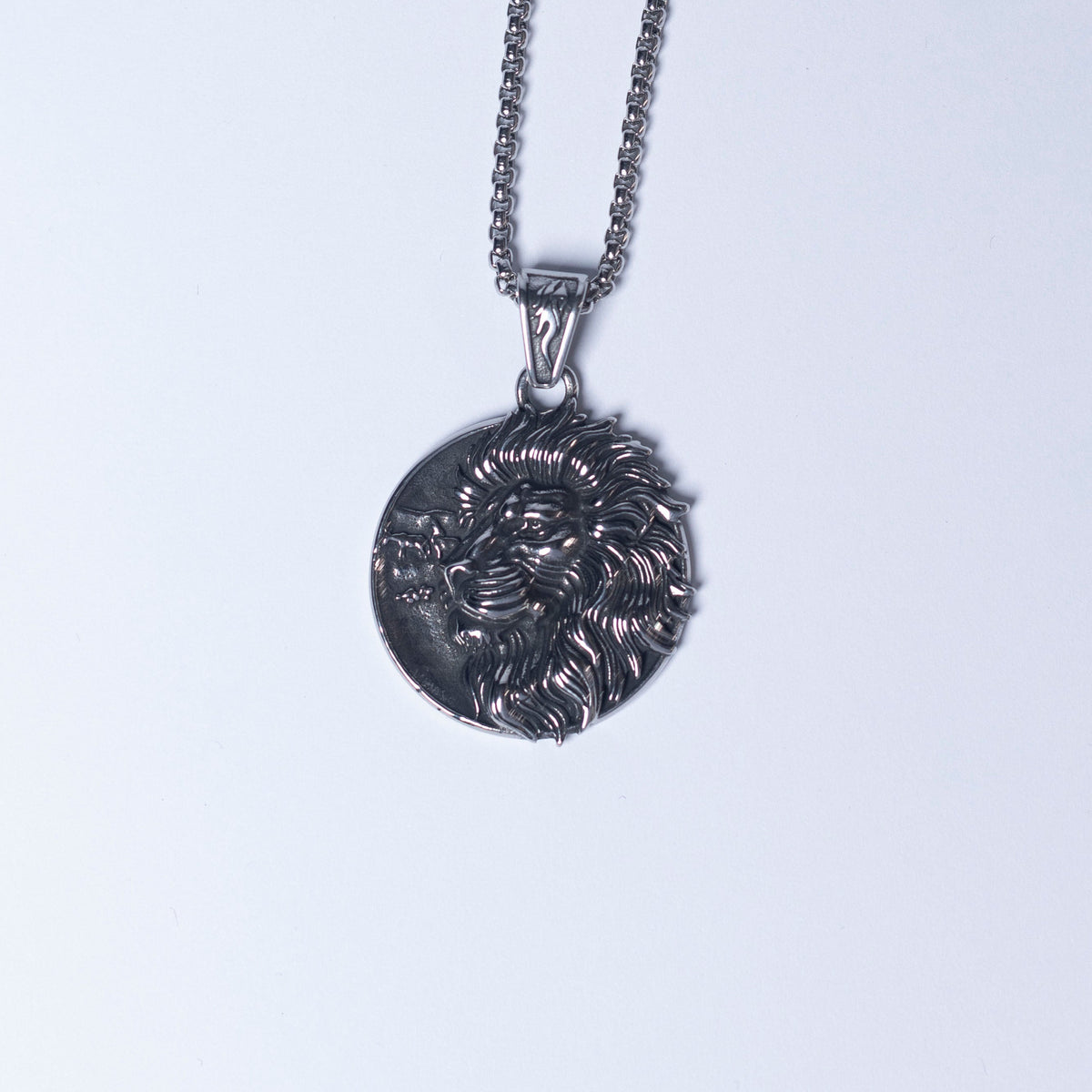 Lion pendant & chain.